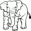 Elefanten Malvorlagen - Malvorlagen Für Kinder über Elefanten Malvorlagen