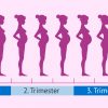 Erster Schwangerschaftsmonat: Erste Anzeichen Und Maßnahmen mit Rauchen Im Ersten Schwangerschaftsmonat
