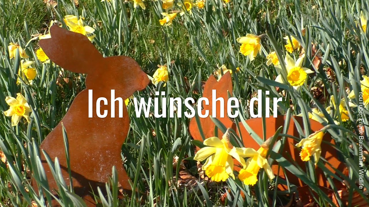 𝐅𝐫𝐨𝐡𝐞 𝐎𝐬𝐭𝐞𝐫𝐧 𝟐𝟎𝟐𝟎 🍀ich/dir🐇 Ich Wünsche Dir Frohe Ostern -  Ostergrüße Video Für Whatsapp Kostenlos in Ostergrüsse Kostenlos
