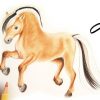 🐴 Fjord Pferd Zeichnen Lernen 🐎 Fjordpferd Malen 🐴 How To Draw A Horse  🐎 Как Да Нарисуваме Кон verwandt mit Pferde Malen Lernen