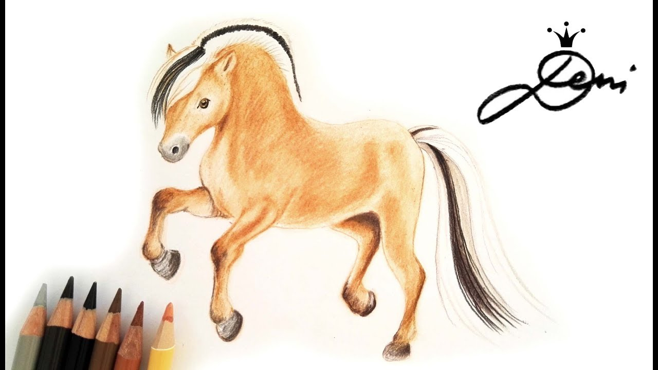 🐴 Fjord Pferd Zeichnen Lernen 🐎 Fjordpferd Malen 🐴 How To Draw A Horse  🐎 Как Да Нарисуваме Кон verwandt mit Pferde Malen Lernen