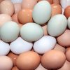 Faktencheck: Die Legende Vom Cholesterinarmen Grünen ganzes Unterschied Weisse Und Braune Hühnereier