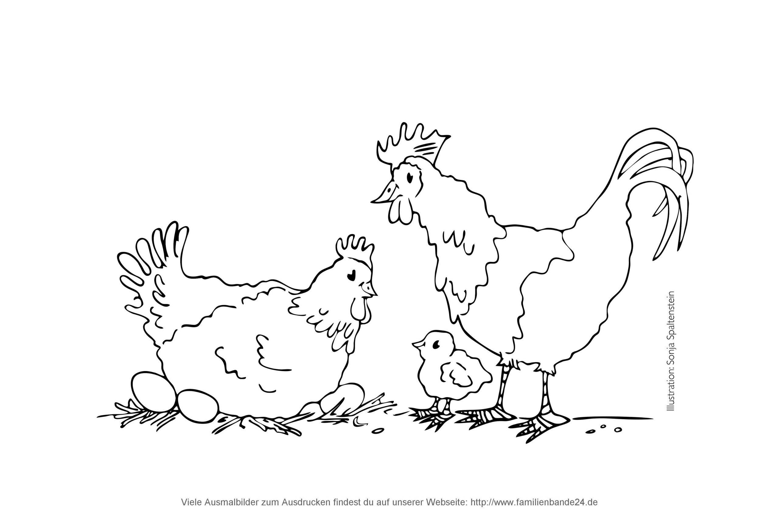 hühner ausmalbilder  kinderbilderdownload  kinderbilder