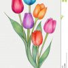 Farbige Bleistift-Zeichnung Von Tulpen Stock Abbildung innen Tulpe Zeichnen