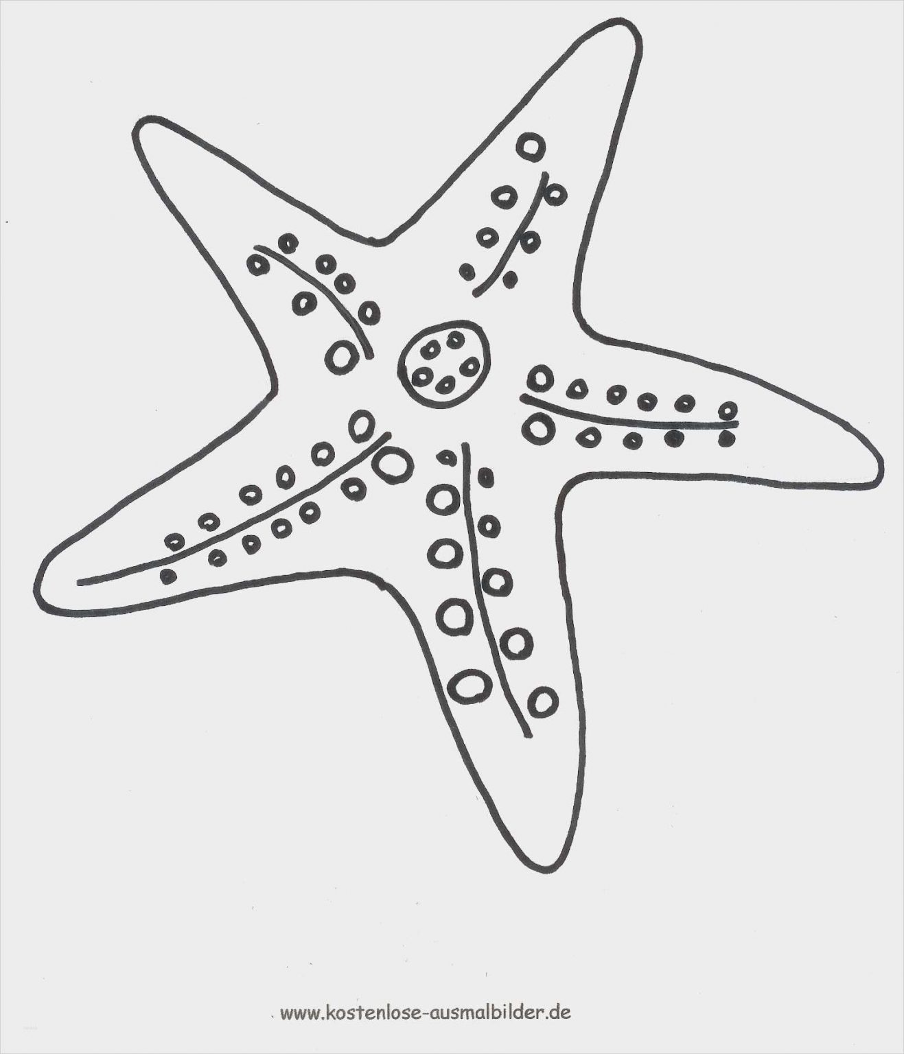 Fische Basteln Vorlagen kinderbilder.download