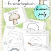 Flipbook: Pilze - Forschertagebuch / Pilzbuch | Download In für Pilze Unterrichtsmaterial Grundschule
