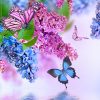 Fotos Insekten Schmetterlinge Blüte Syringa Tiere über Hintergrundbilder Blumen Und Schmetterlinge
