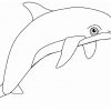 Free Printable Dolphin Malvorlagen Für Kinder | Malvorlagen bei Delfin Schablone