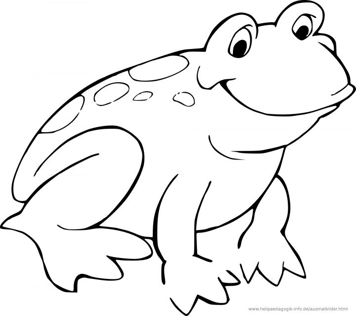 Frosch Malvorlage kinderbilder.download kinderbilder Frosch Malvorlage kinderbilder.download kinderbilder