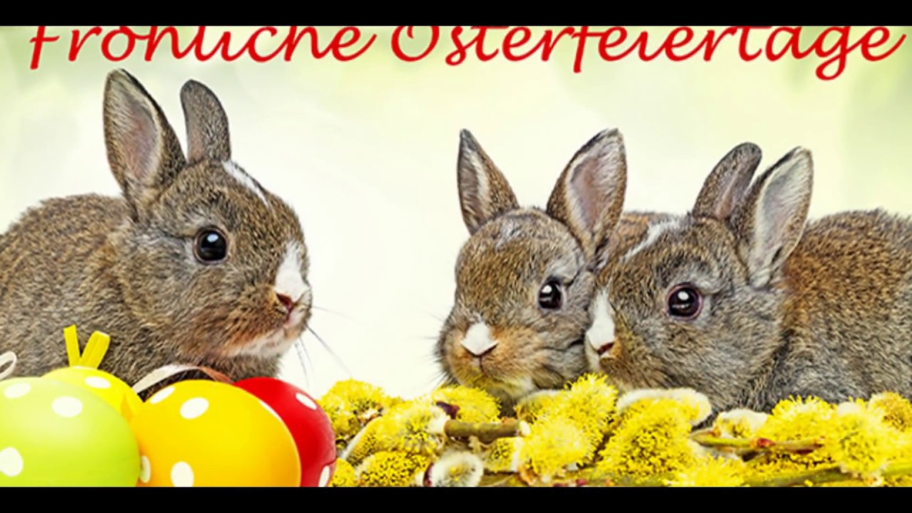 Frohe Ostern 2020 Videogruß - Kostenlose Osterbilder in Frohe Ostern Bilder Kostenlos Herunterladen