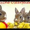 Frohe Ostern 2020 Videogruß - Kostenlose Osterbilder verwandt mit Osterbilder Zum Runterladen