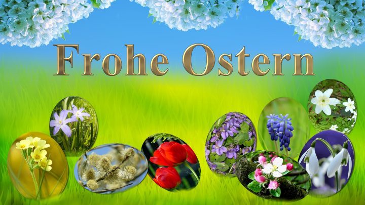 Frohe Ostern Bilder Kostenlos Herunterladen über Frohe Ostern Bilder Kostenlos Herunterladen