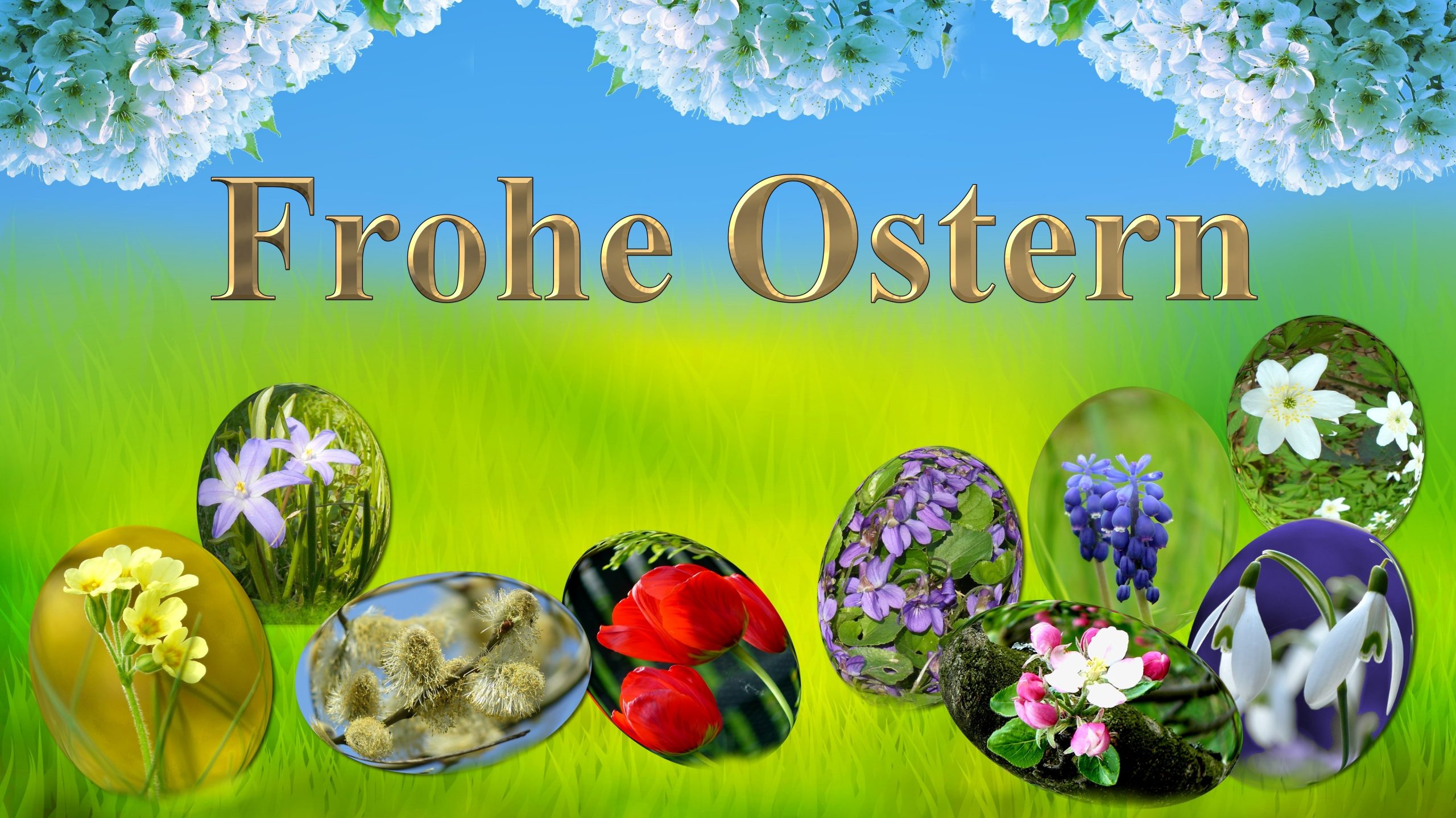Frohe Ostern Bilder Kostenlos Herunterladen kinderbilder download 