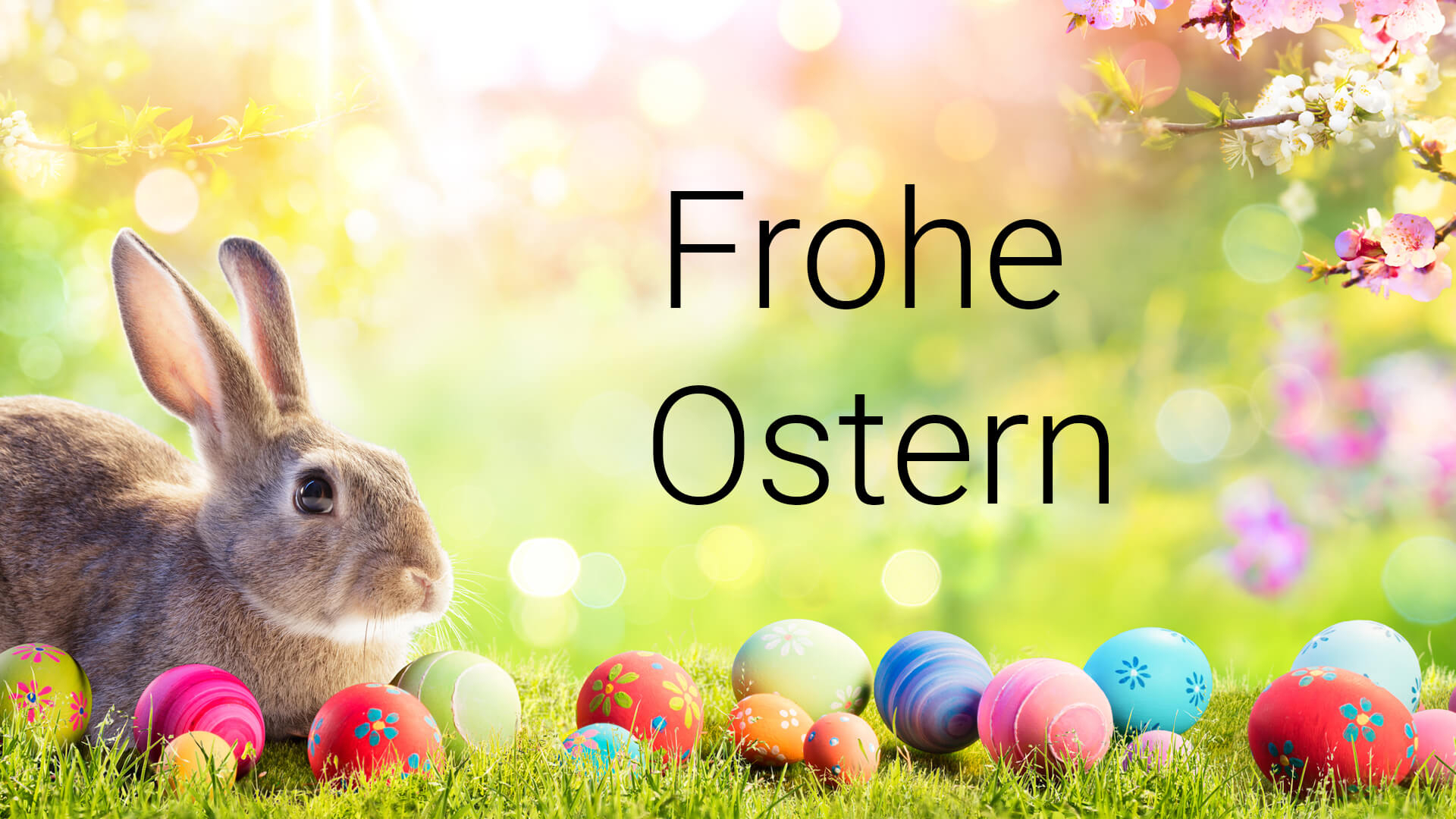 Frohe Ostern!&quot; Whatsapp-Grüße: Bilder An Familie Und Freunde bestimmt für Frohe Ostern Bilder Kostenlos Herunterladen