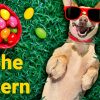 Frohe Ostern!&quot; Whatsapp-Grüße: Bilder An Familie Und Freunde mit Frohe Ostern Bilder Kostenlos Herunterladen