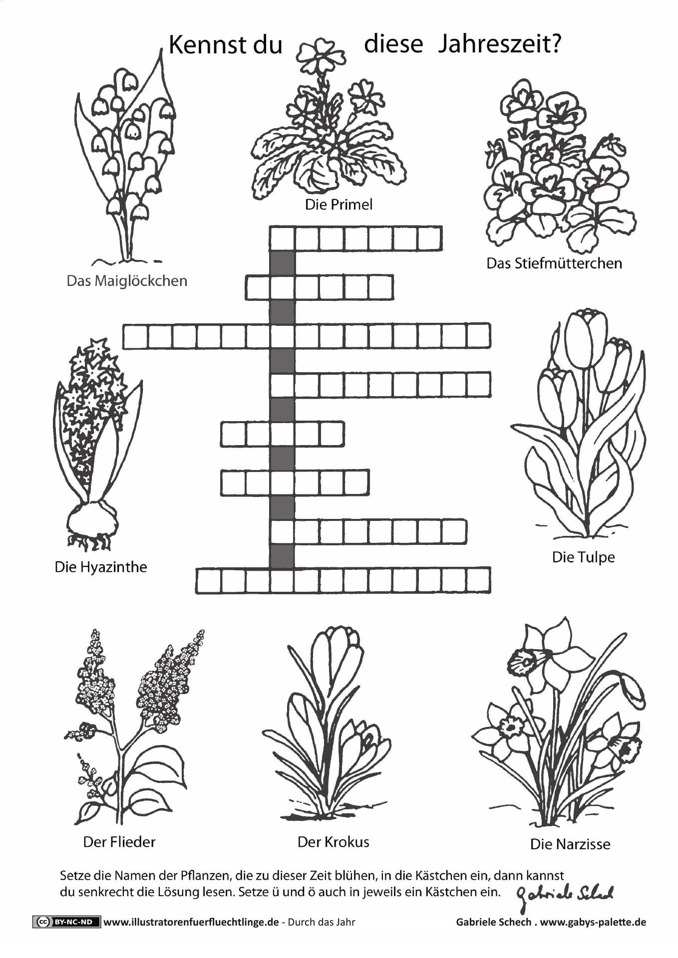 Frühling Blumen Rätsel | Frühling Blumen, Blumen, Frühling mit Frühlingsrätsel Kindergartenkinder
