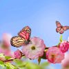 Fruhling Schmetterlinge Und Blumen | Hd Hintergrundbilder über Hintergrundbilder Blumen Und Schmetterlinge