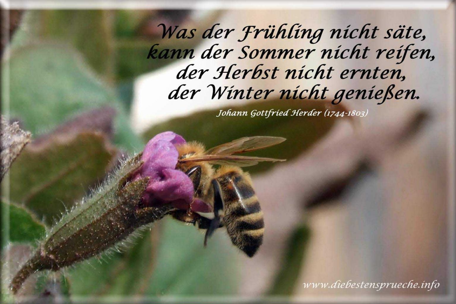 Frühlingsbilder Lustig - kinderbilder.download | kinderbilder.download