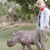 Ganz Nah Am Nashorn | Paula Und Die Wilden Tiere über Tiere Mit Y Am Anfang