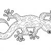Gecko Bilder Zum Ausmalen - Malvorlagen Für Kinder ganzes Gecko Malvorlage