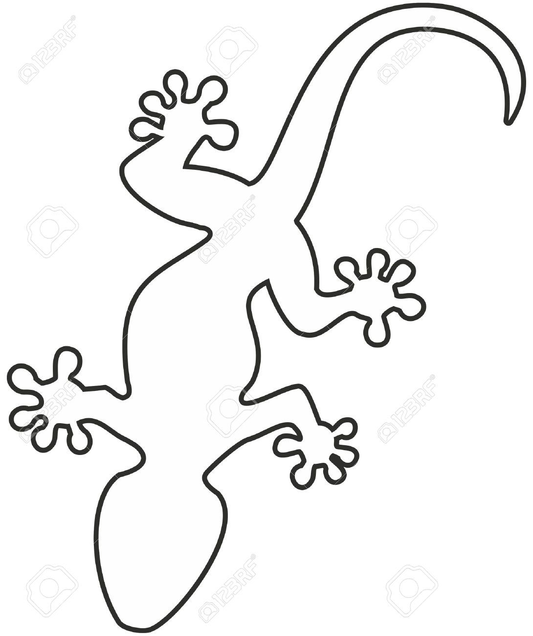 gecko malvorlage  kinderbilderdownload  kinderbilder