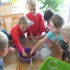 Gemeinde Brigachtal: Unser Pädagogisches Angebot für Naturwissenschaftliche Angebote Im Kindergarten