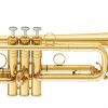 Geneva-C-Trompete Symphonie Lackiert über Trompete Bilder
