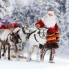 Geschichte Beginnt In Lappland: Die Rentiere Und Der über Nikolaus Rentiere