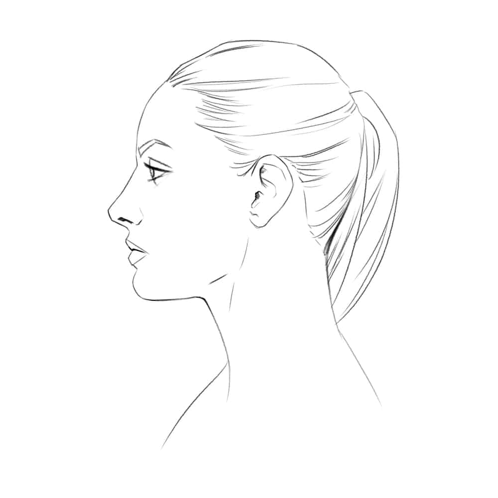 Gesicht Im Profil Zeichnen Lernen - Komplette Anleitung innen Portrait Zeichnen Lernen Schritt Für Schritt