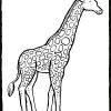 Giraffe - Kiddimalseite bestimmt für Giraffe Ausmalbild