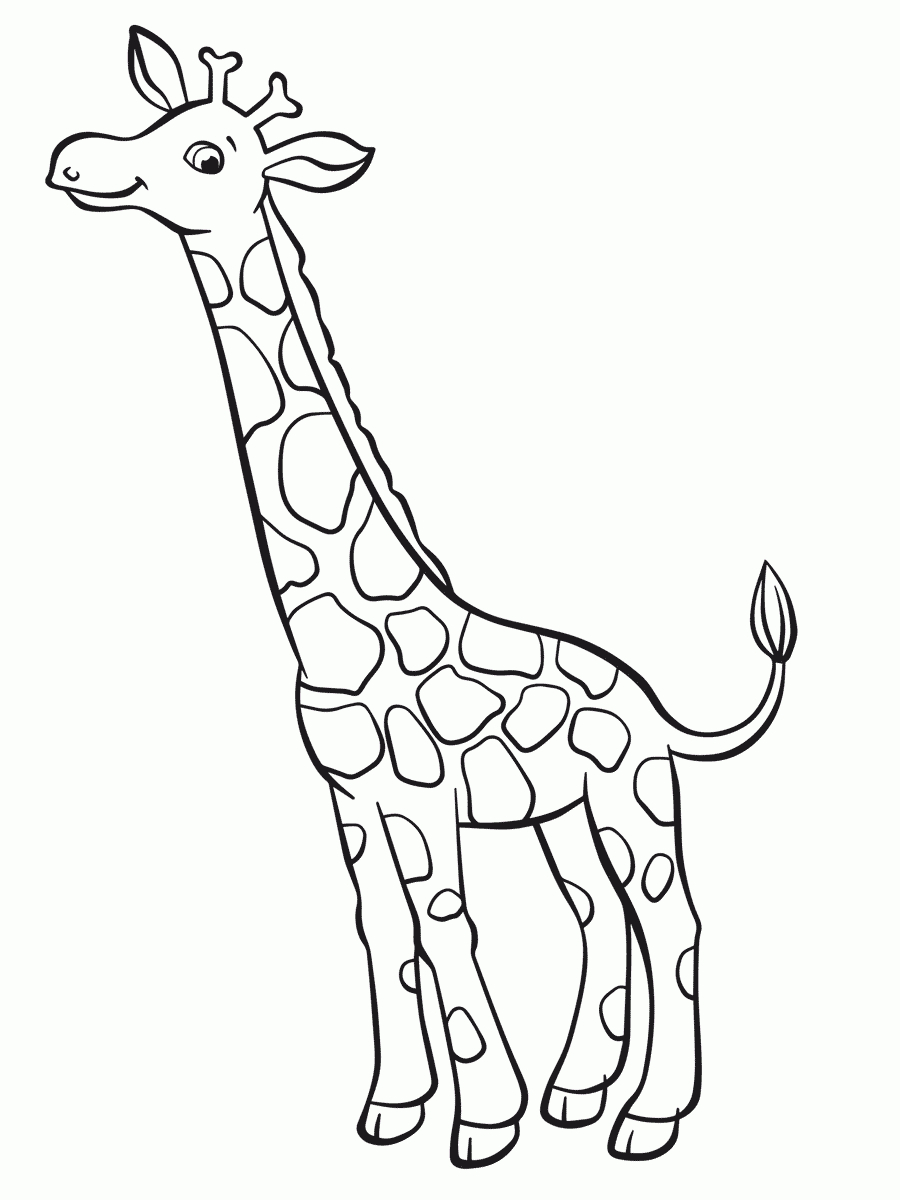 Giraffen Ausmalbilder #ausmalbilder #giraffen bestimmt für Giraffe Ausmalbild
