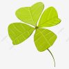 Grün Vierblättriges Kleeblatt Glücksklee Abbildung, Pflanze verwandt mit Glücksklee Vorlage