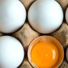 Gut Zu Wissen: Warum Gibt Es Braune Und Weiße Eier? | Focus.de innen Warum Gibt Es Braune Und Weiße Hühnereier