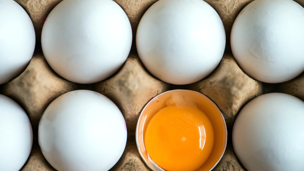 Gut Zu Wissen: Warum Gibt Es Braune Und Weiße Eier? | Focus.de innen Warum Gibt Es Braune Und Weiße Hühnereier