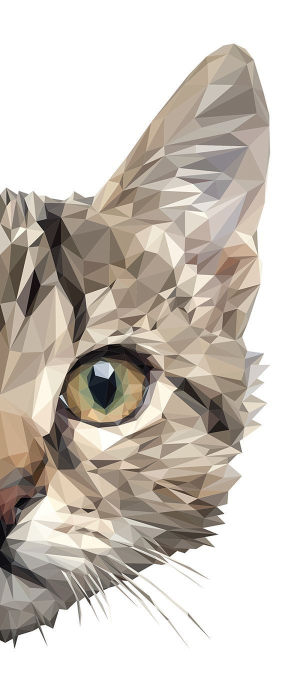 Hallo In 2020 (Mit Bildern) | Katzen Kunst, Katze Zeichnen bestimmt für Tiergesichter Malen