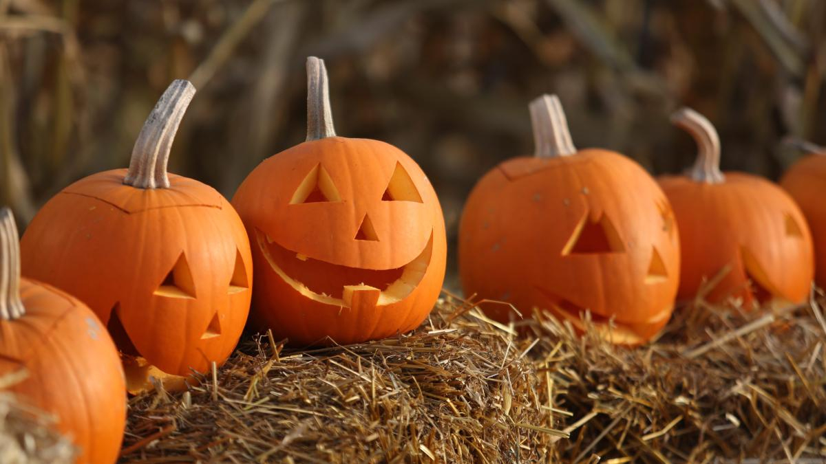Halloween: Bedeutung, Ursprung, Geschichte, Bräuche verwandt mit Was Heißt Halloween Auf Deutsch