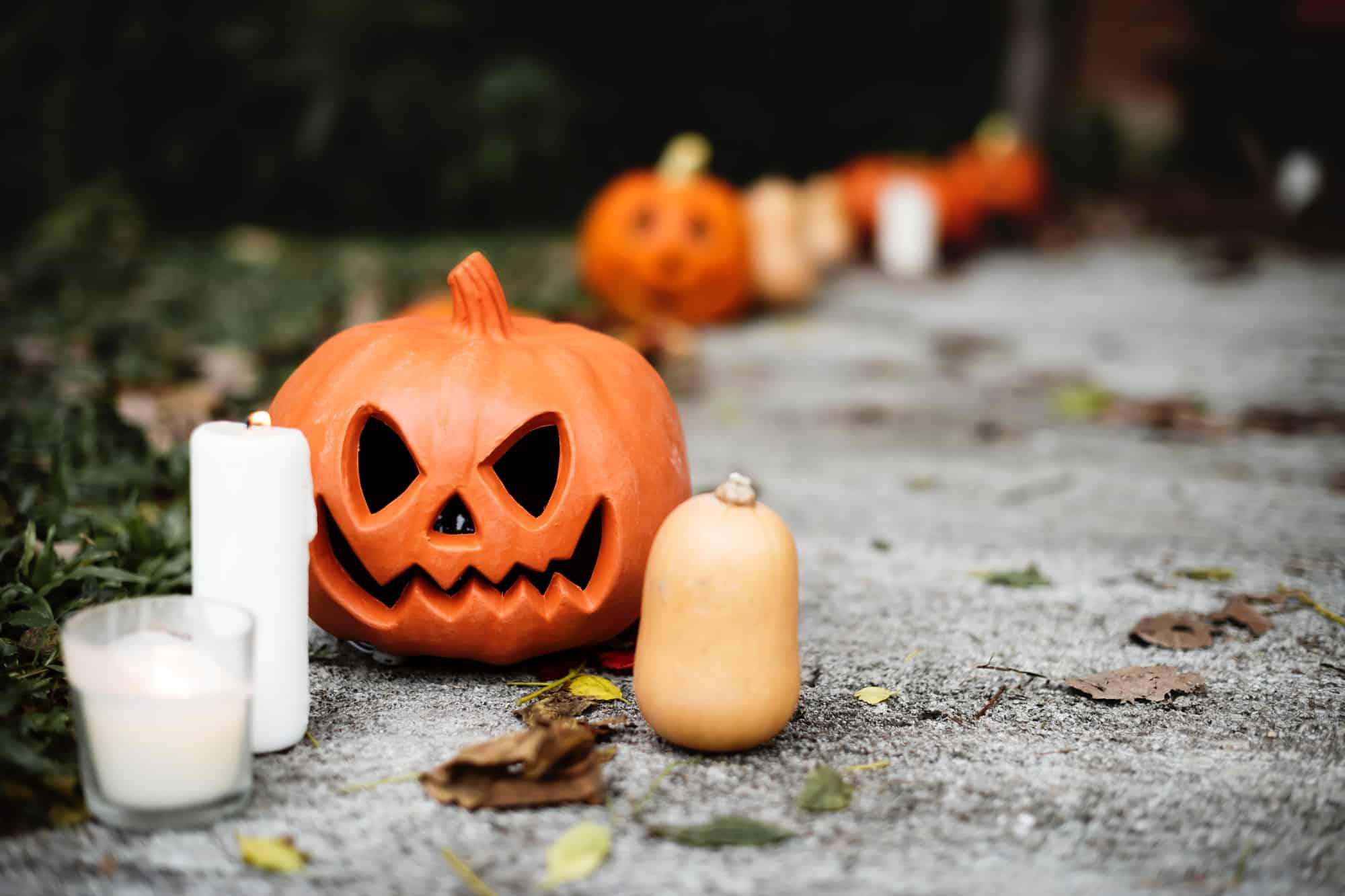 Halloween Bilder Kostenlos Herunterladen: 10 Schaurig-Schöne über Bilder Halloween Kostenlos