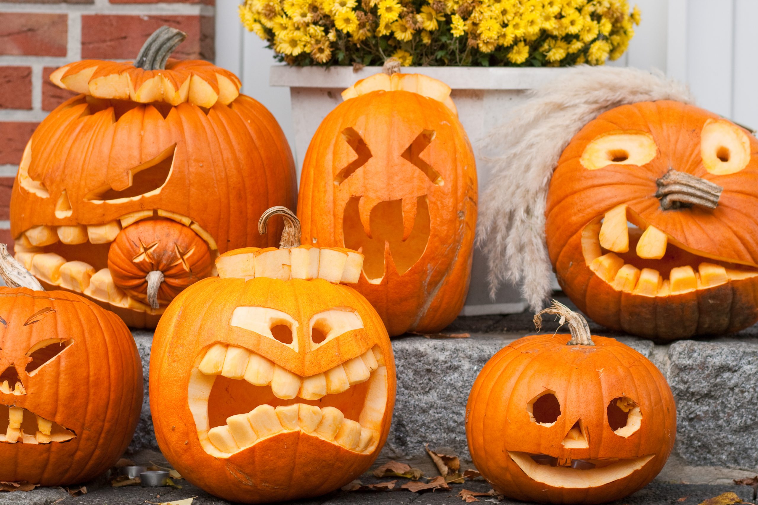 Halloween - Die Wahre Geschichte Über Monster, Untote Und mit Was Heißt Halloween Auf Deutsch