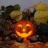 Halloween Kürbis 2 - Lizenzfreie Fotos / Bilder mit Kürbis Bilder Kostenlos