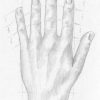 Hand, Hände Und Finger Zeichnen Lernen - Zeichenkurs mit Hände Zeichnen Lernen