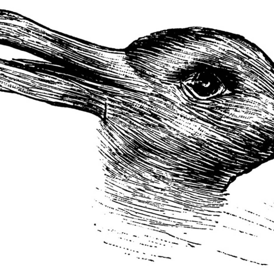 Hase Oder Ente: Was Sehen Sie? | Gala.de in Zeichnung Ente