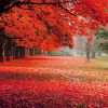 Hd Herbst Hintergrundbilder | Hd Hintergrundbilder ganzes Schöne Herbstbilder Kostenlos