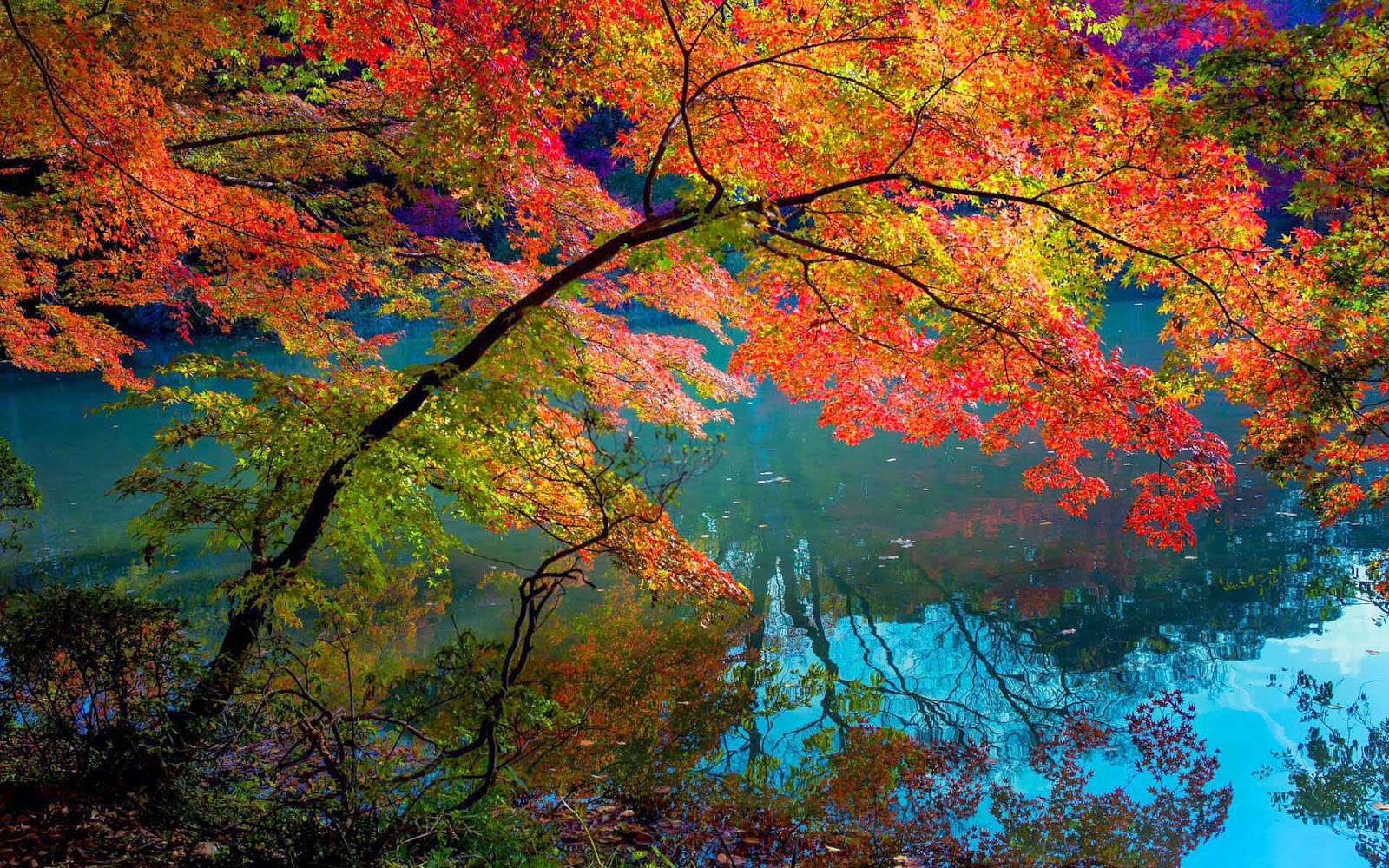 Hd Herbst Hintergrundbilder | Hd Hintergrundbilder innen Schöne Herbstbilder Kostenlos