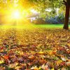 Hd Herbst Hintergrundbilder | Hd Hintergrundbilder mit Schöne Herbstbilder Kostenlos