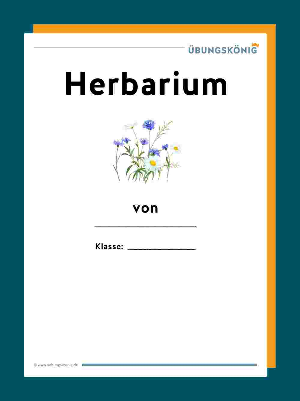 Herbarium in Herbarium Beschriftungsvorlage Muster
