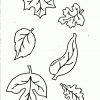 Herbstblätter Basteln Malvorlagen 04 | Malvorlagen Blumen bei Herbstblätter Malvorlagen