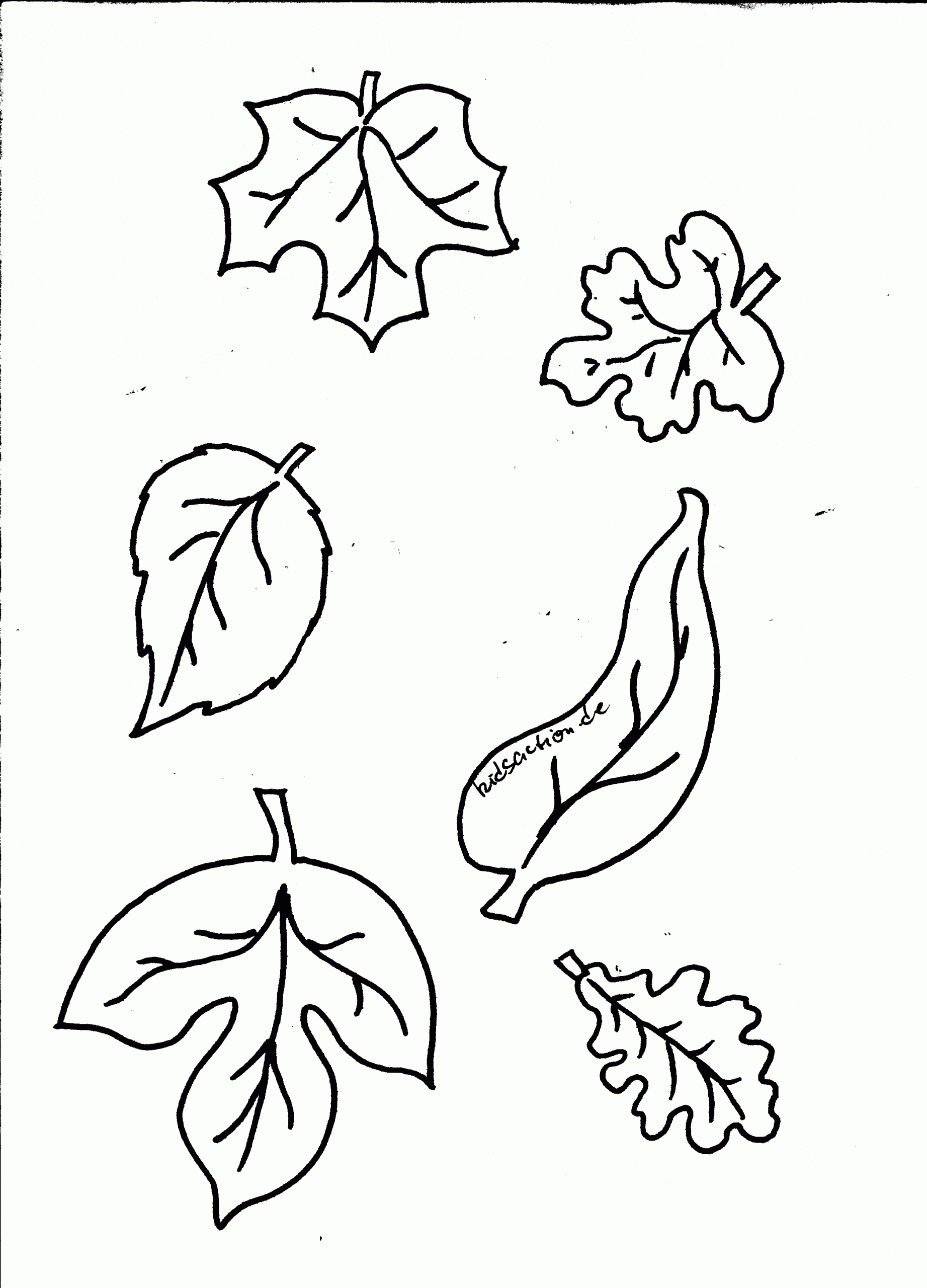 Herbstblätter Basteln Malvorlagen 04 | Malvorlagen Blumen bei Herbstblätter Malvorlagen
