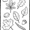 Herbstblätter - Kiddimalseite mit Herbstblätter Malvorlagen
