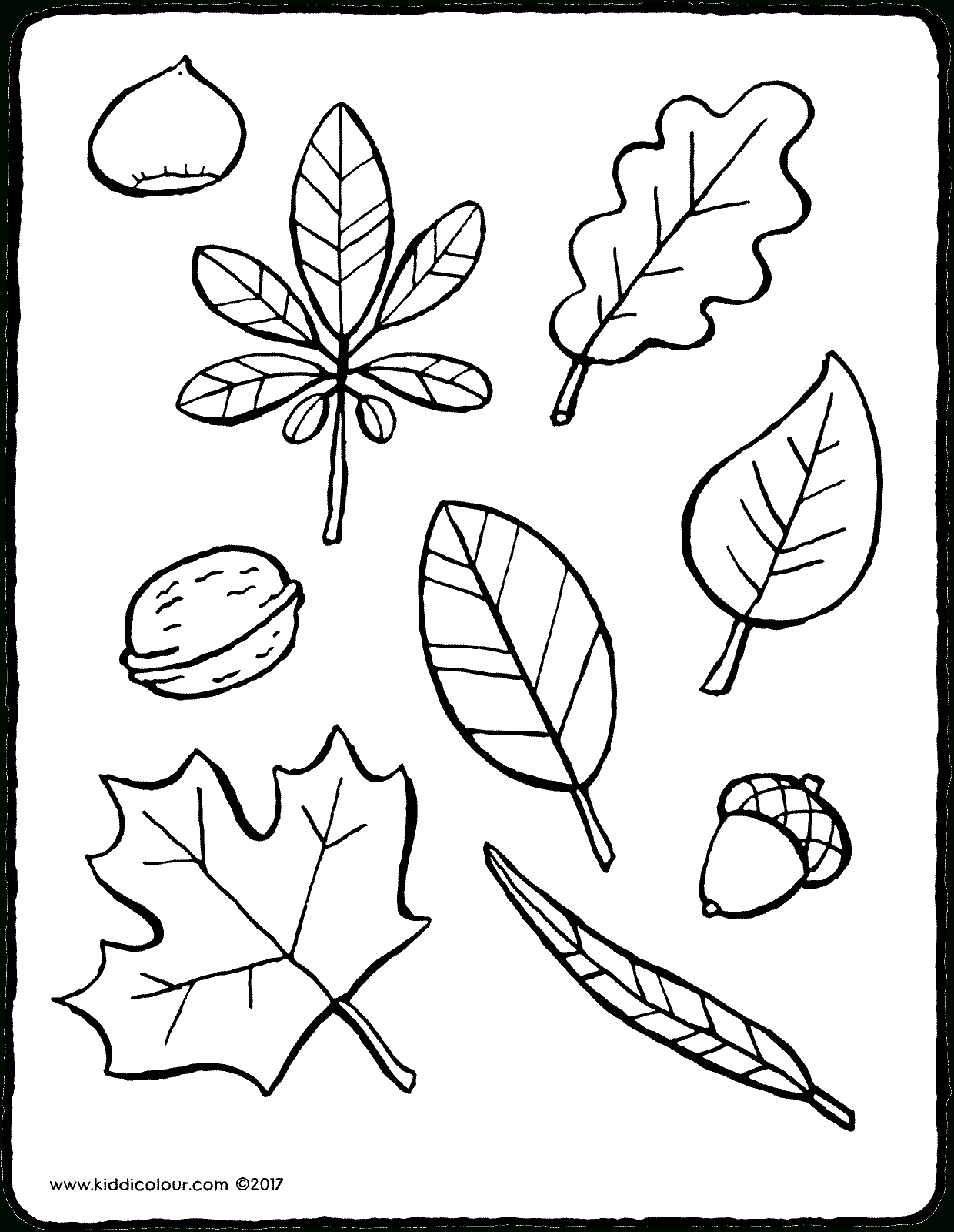Herbstblätter - Kiddimalseite mit Herbstblätter Malvorlagen