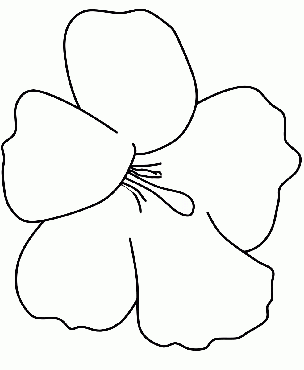 Hier Finden Sie Schöne Blumen Ausmalbilder Zum Ausdrucken über Blumen Zum Ausschneiden